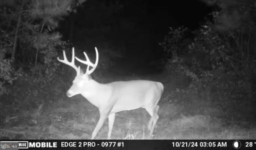 Photo #51 of HARTS MILL RD, MINERAL, VA 25.0 acres