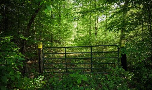 Photo #26 of HARTS MILL RD, MINERAL, VA 25.0 acres