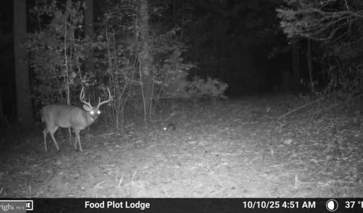 Photo #49 of HARTS MILL RD, MINERAL, VA 25.0 acres