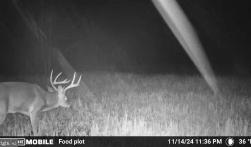Photo #50 of HARTS MILL RD, MINERAL, VA 25.0 acres