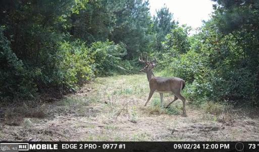 Photo #45 of HARTS MILL RD, MINERAL, VA 25.0 acres