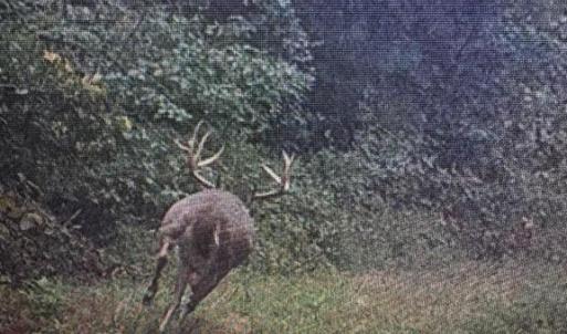 Photo #47 of HARTS MILL RD, MINERAL, VA 25.0 acres
