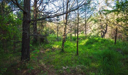 Photo #33 of HARTS MILL RD, MINERAL, VA 25.0 acres