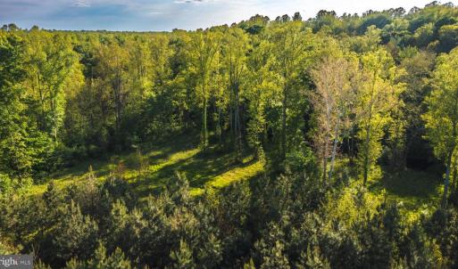 Photo #4 of HARTS MILL RD, MINERAL, VA 25.0 acres
