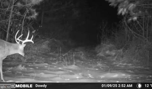 Photo #52 of HARTS MILL RD, MINERAL, VA 25.0 acres