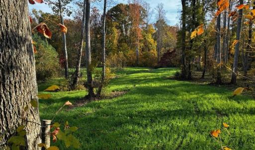 Photo #59 of HARTS MILL RD, MINERAL, VA 25.0 acres