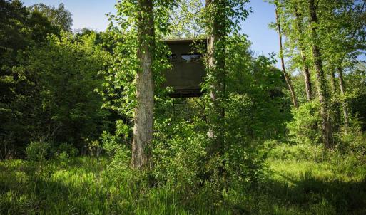 Photo #19 of HARTS MILL RD, MINERAL, VA 25.0 acres