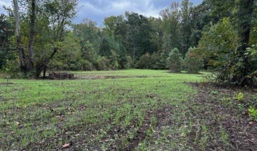 Photo #62 of HARTS MILL RD, MINERAL, VA 25.0 acres