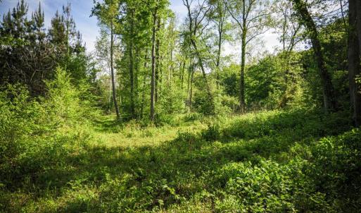 Photo #24 of HARTS MILL RD, MINERAL, VA 25.0 acres