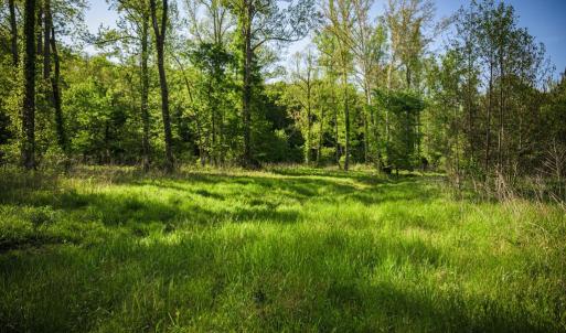 Photo #21 of HARTS MILL RD, MINERAL, VA 25.0 acres