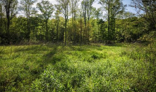Photo #23 of HARTS MILL RD, MINERAL, VA 25.0 acres