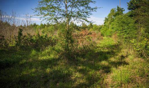 Photo #27 of HARTS MILL RD, MINERAL, VA 25.0 acres
