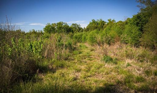 Photo #29 of HARTS MILL RD, MINERAL, VA 25.0 acres