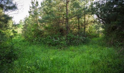 Photo #32 of HARTS MILL RD, MINERAL, VA 25.0 acres
