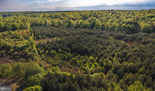 Photo #39 of HARTS MILL RD, MINERAL, VA 25.0 acres