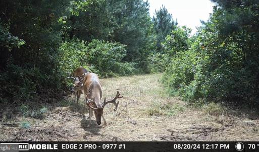 Photo #43 of HARTS MILL RD, MINERAL, VA 25.0 acres