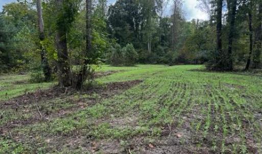 Photo #63 of HARTS MILL RD, MINERAL, VA 25.0 acres