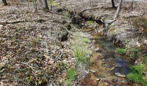 Stream