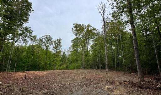 Photo #3 of 465 EQUESTRIAN LANDING TRL, BUMPASS, VA 5.1 acres