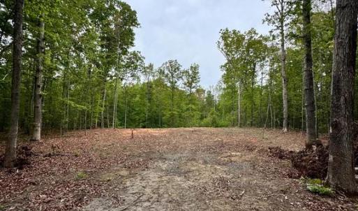 Photo #4 of 465 EQUESTRIAN LANDING TRL, BUMPASS, VA 5.1 acres