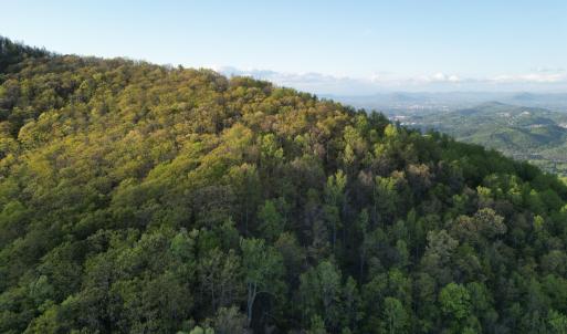 DJI_0720