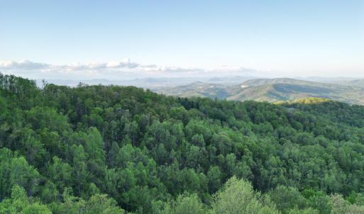 DJI_0739