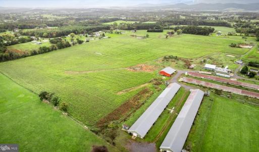 Photo #5 of PHOEBE LN, LURAY, VA 45.8 acres