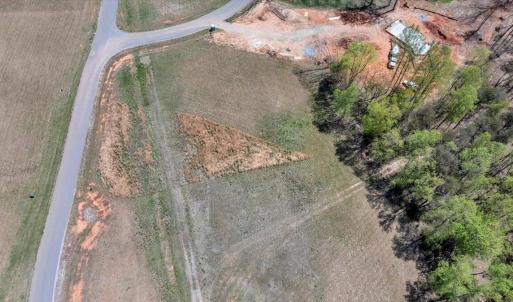 11-DJI_20250415215822_0009_D
