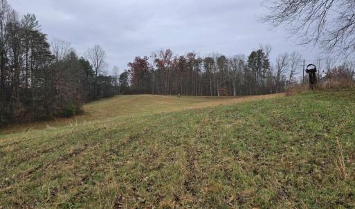 Photo #5 of 729 CELT RD, STANARDSVILLE, VA 7.0 acres