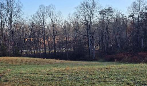 Photo #7 of 729 CELT RD, STANARDSVILLE, VA 7.0 acres