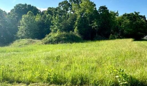 20240524005515743048000000-o