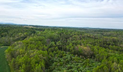 DJI_0587