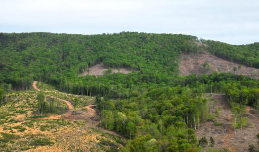 DJI_0596