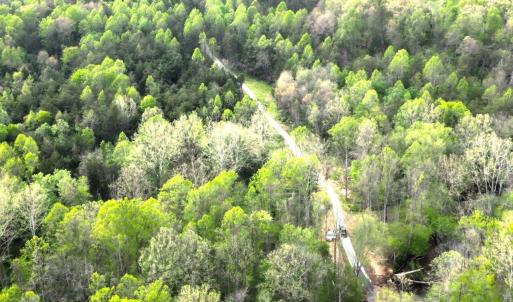 DJI_0606