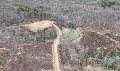 aerial view pond 2