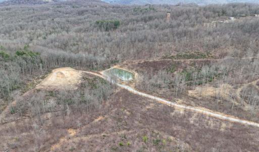 ariel view pond
