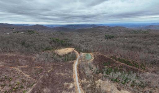 long range aerial view of pond - Copy