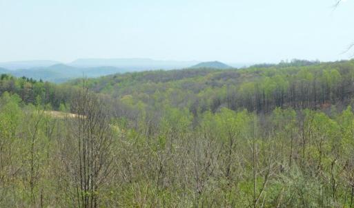 Mountain view #4
