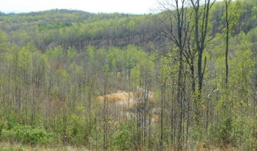 View from Big Otter Rd #2