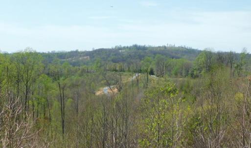 view from Big Otter Rd #3