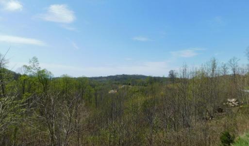 View from Big Otter Rd #4