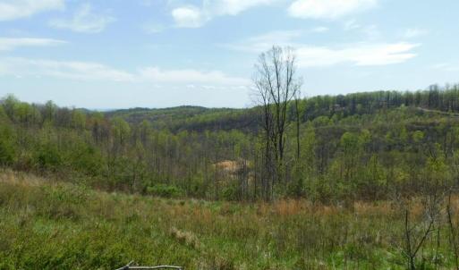 View from Big Otter Rd