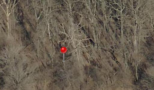 Screenshot 2025-04-28 at 10.48.37AM