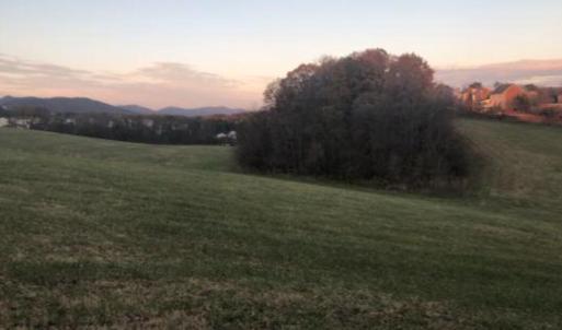 Screenshot 2025-04-28 at 10.49.34AM