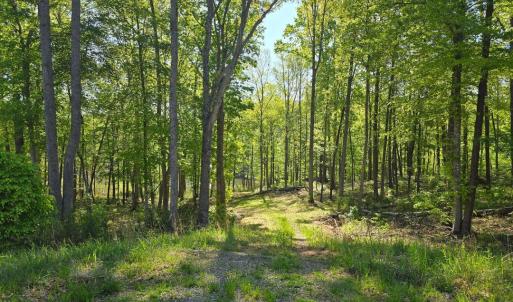 lOT 94 dRIVEWAY 2