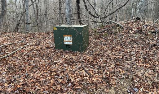 Whitestone pic 23