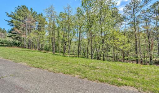 Lot 51 Lakewatch Circle - 10