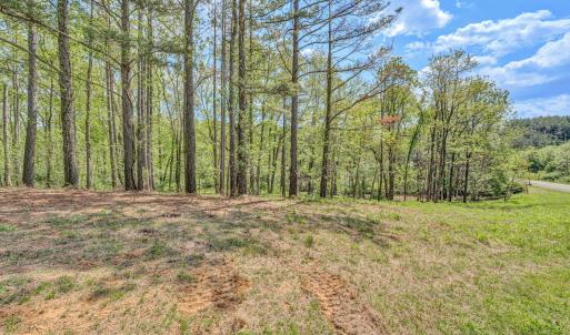Lot 51 Lakewatch Circle - 8