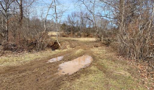Photo #7 of WHITES FARM, CULPEPER, VA 41.0 acres