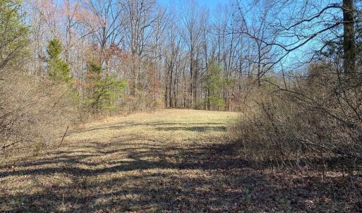 Photo #10 of WHITES FARM, CULPEPER, VA 41.0 acres